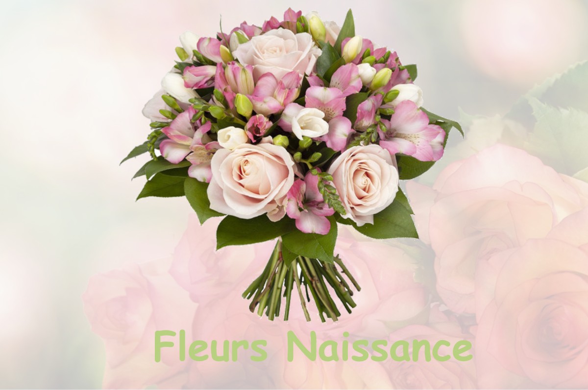 fleurs naissance MAGNEUX-HAUTE-RIVE